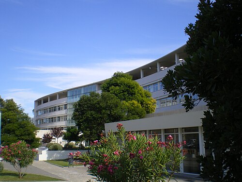 Instituto de Medicina Molecular